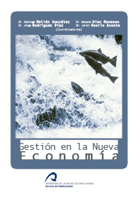 Gestión de la Nueva Economí­a