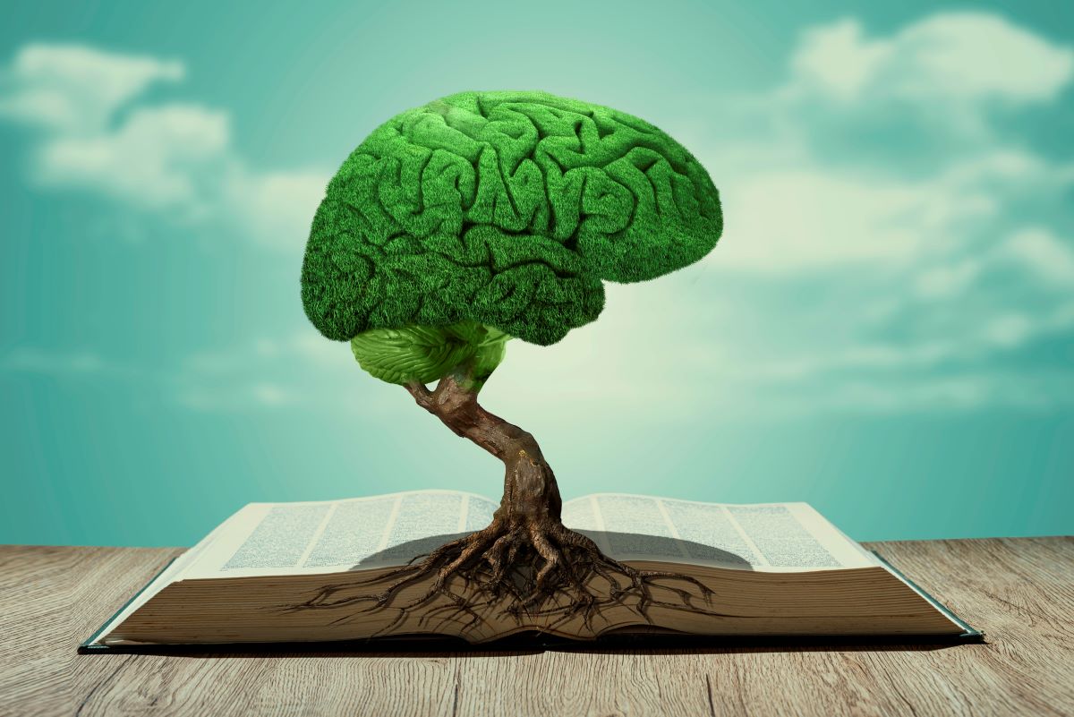 Libros para acariciar la mente y despertar la inteligencia. Foto: Getty