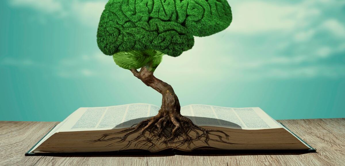 Libros para acariciar la mente y despertar la inteligencia. Foto: Getty