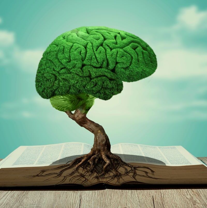 Libros para acariciar la mente y despertar la inteligencia