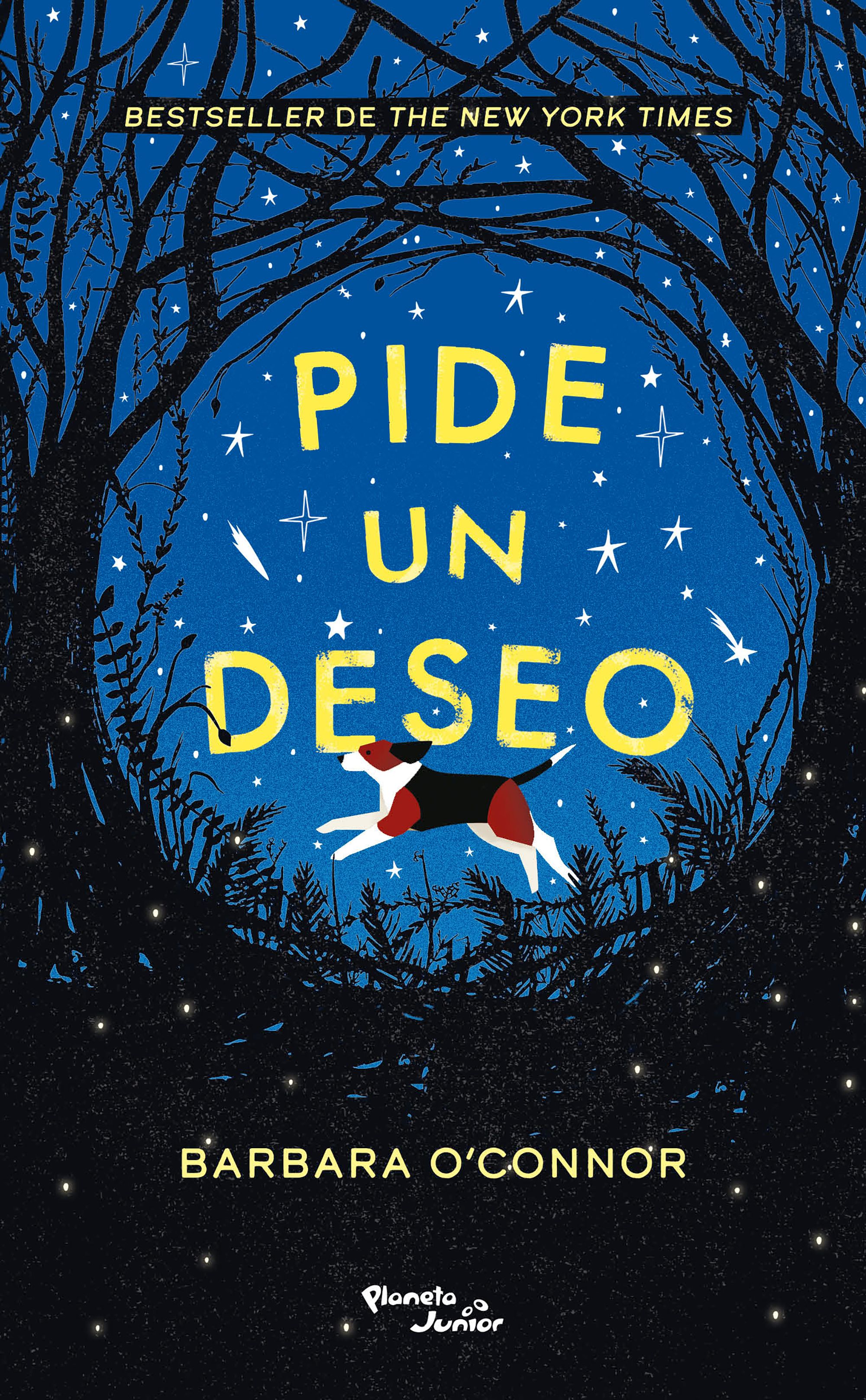 Pide un deseo (Wish) Spanish Edition