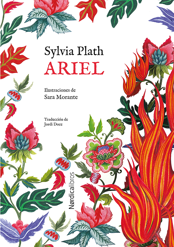 Ed. Especial Ariel