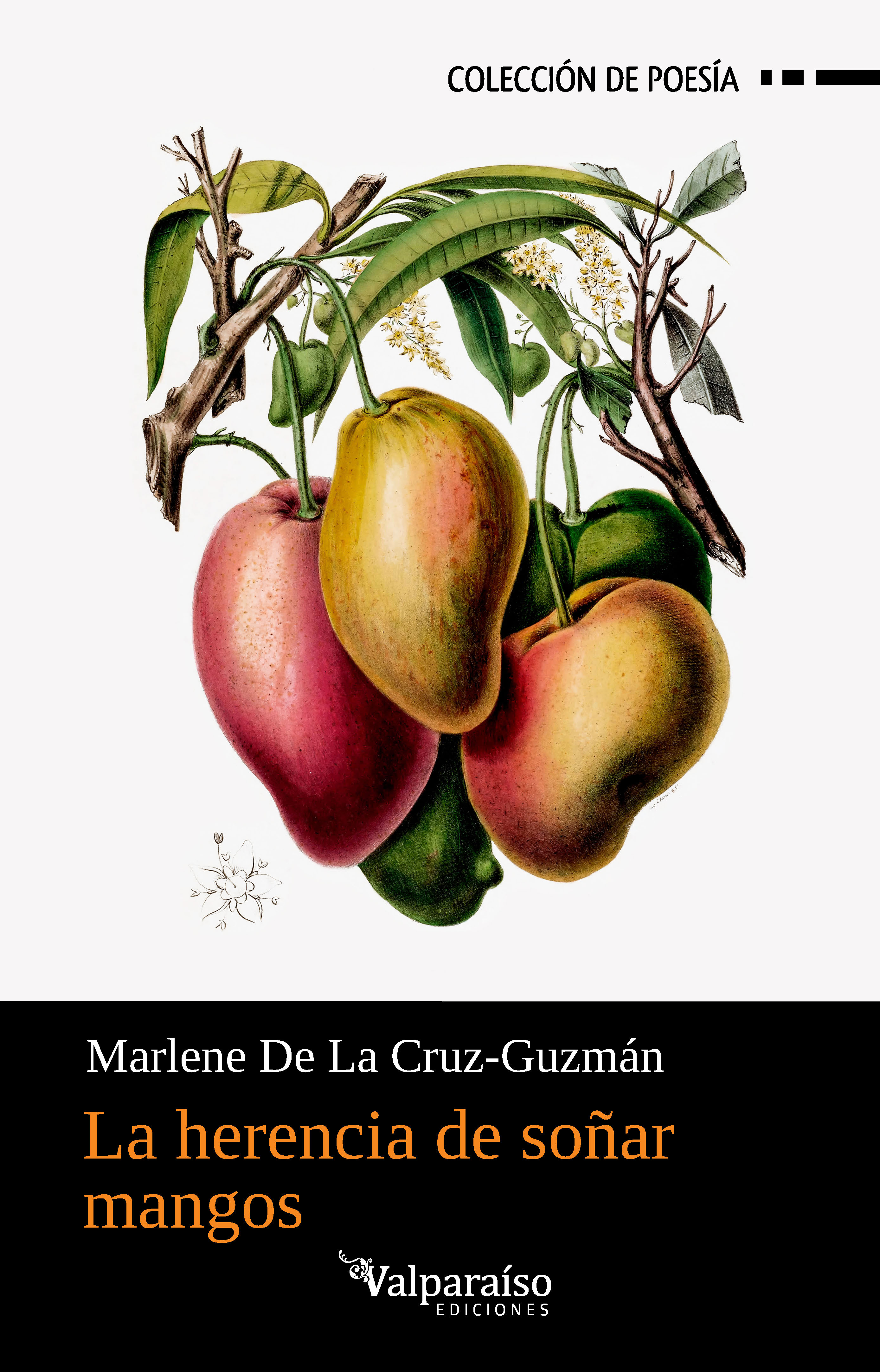 La herencia de soñar mangos