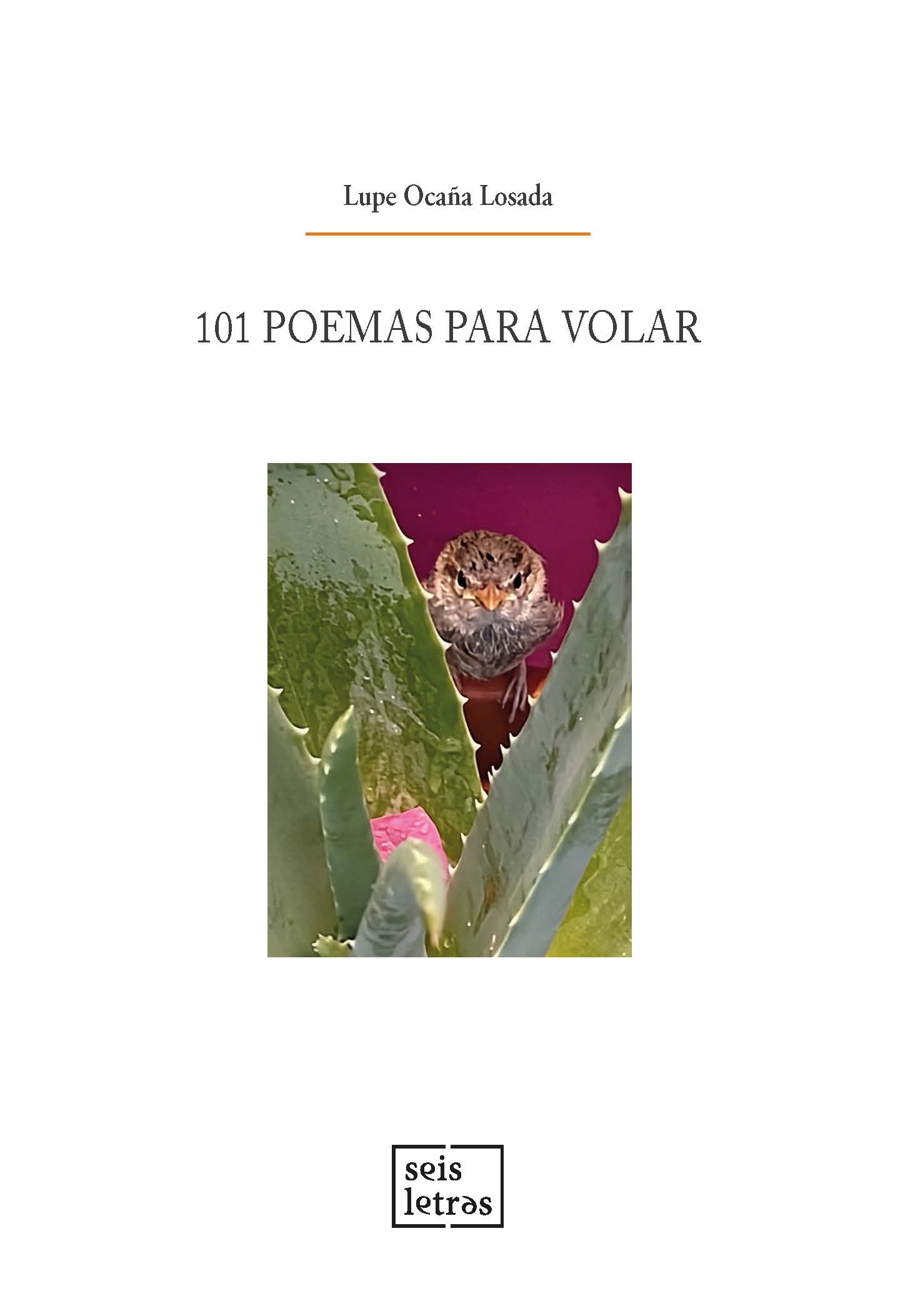 101 poemas para volar