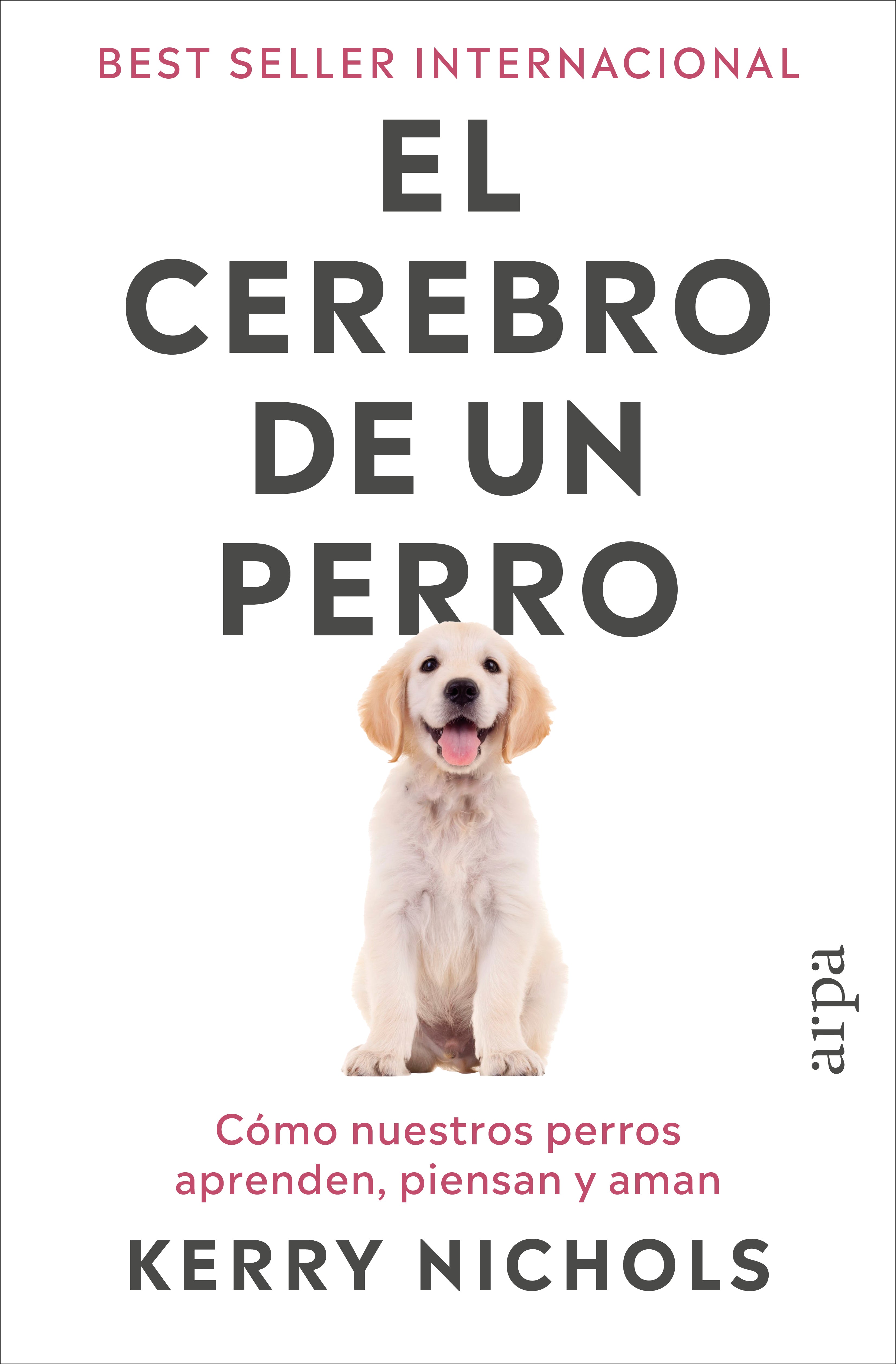 El cerebro de un perro
