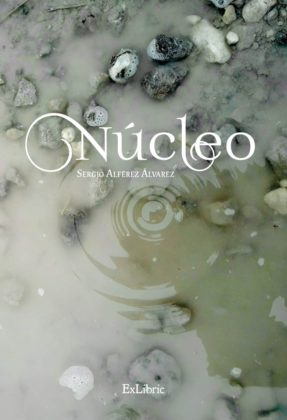 Núcleo