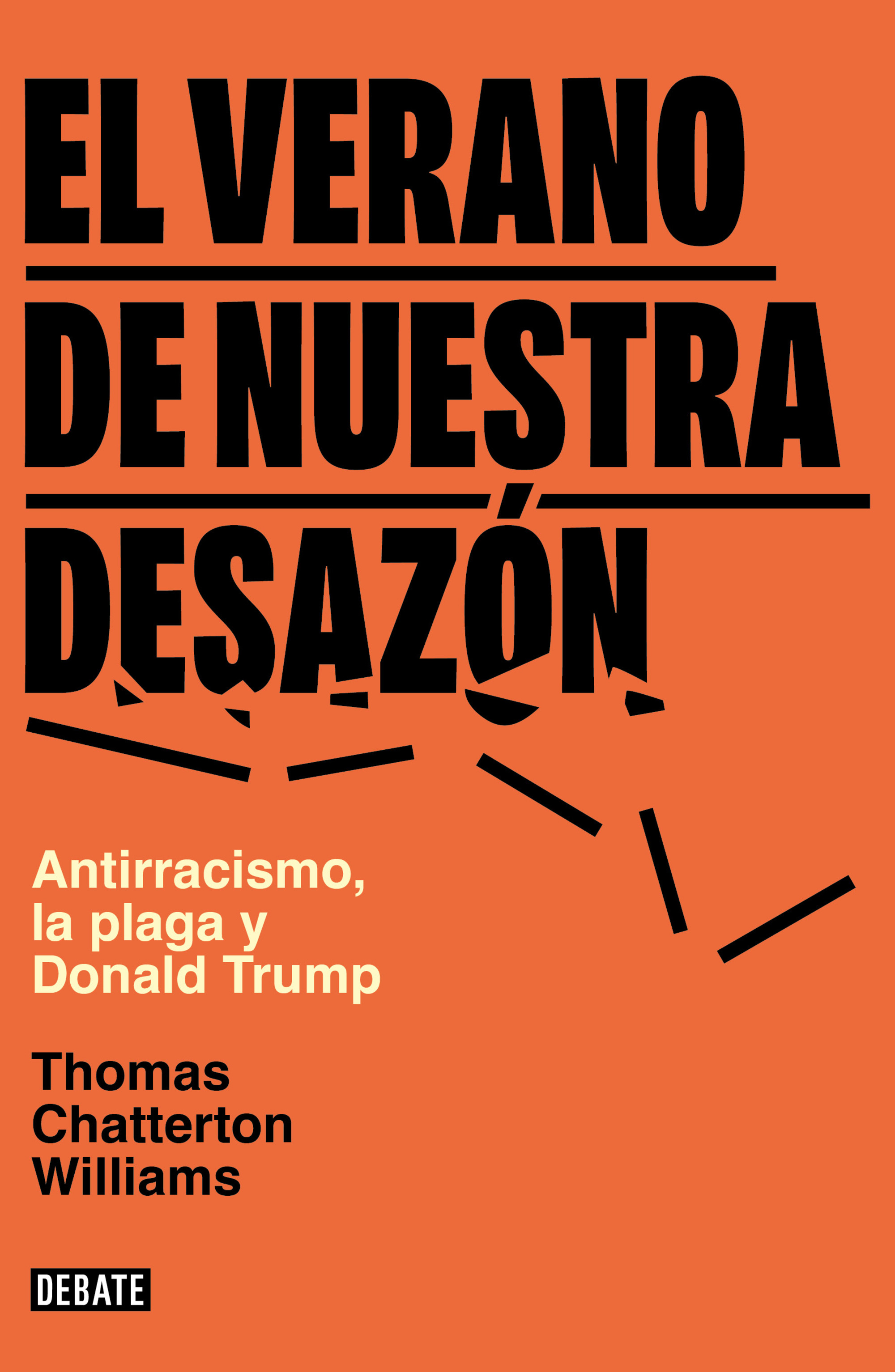 El verano de nuestra desazón