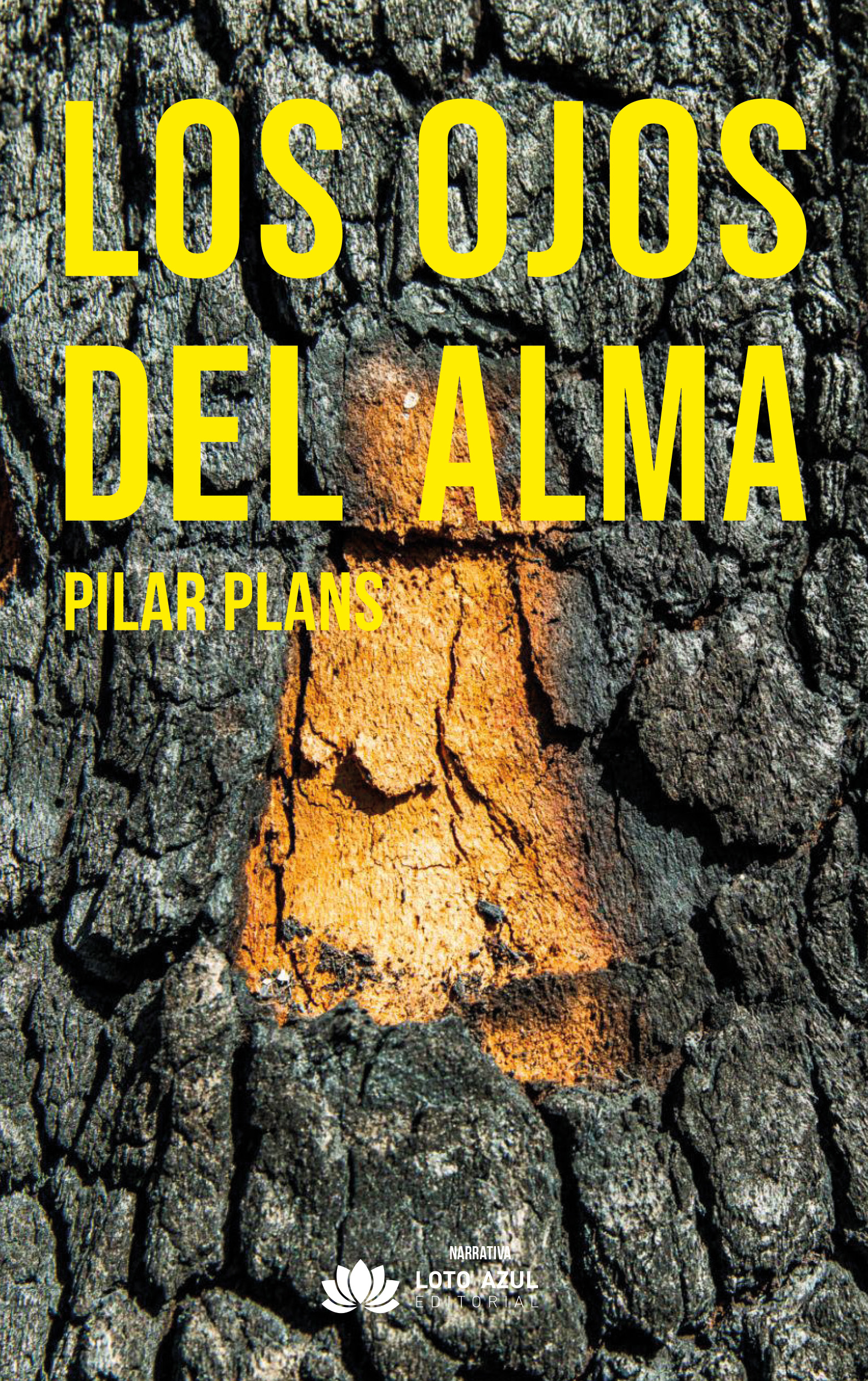 Los ojos del alma
