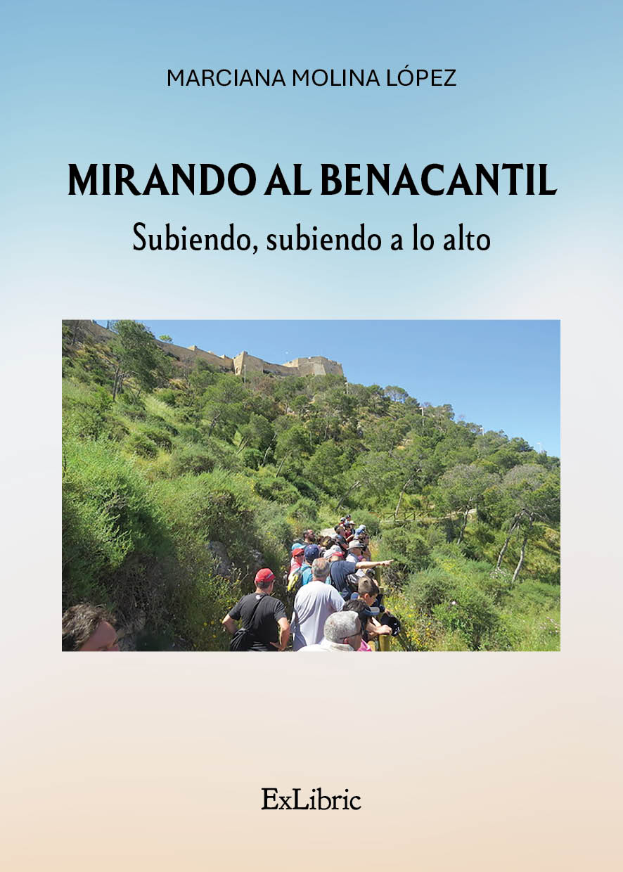 Mirando al Benacantil