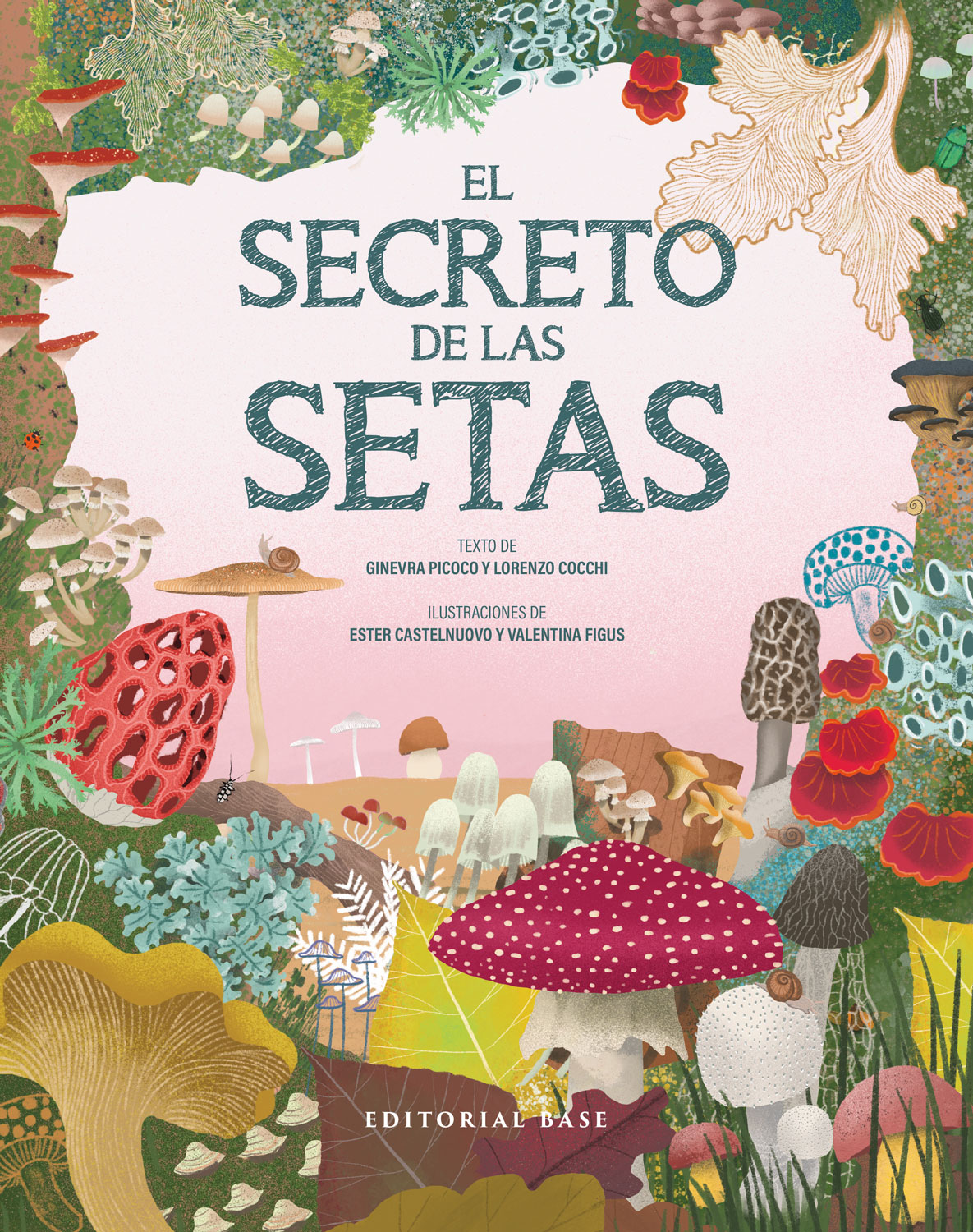 El secreto de las setas