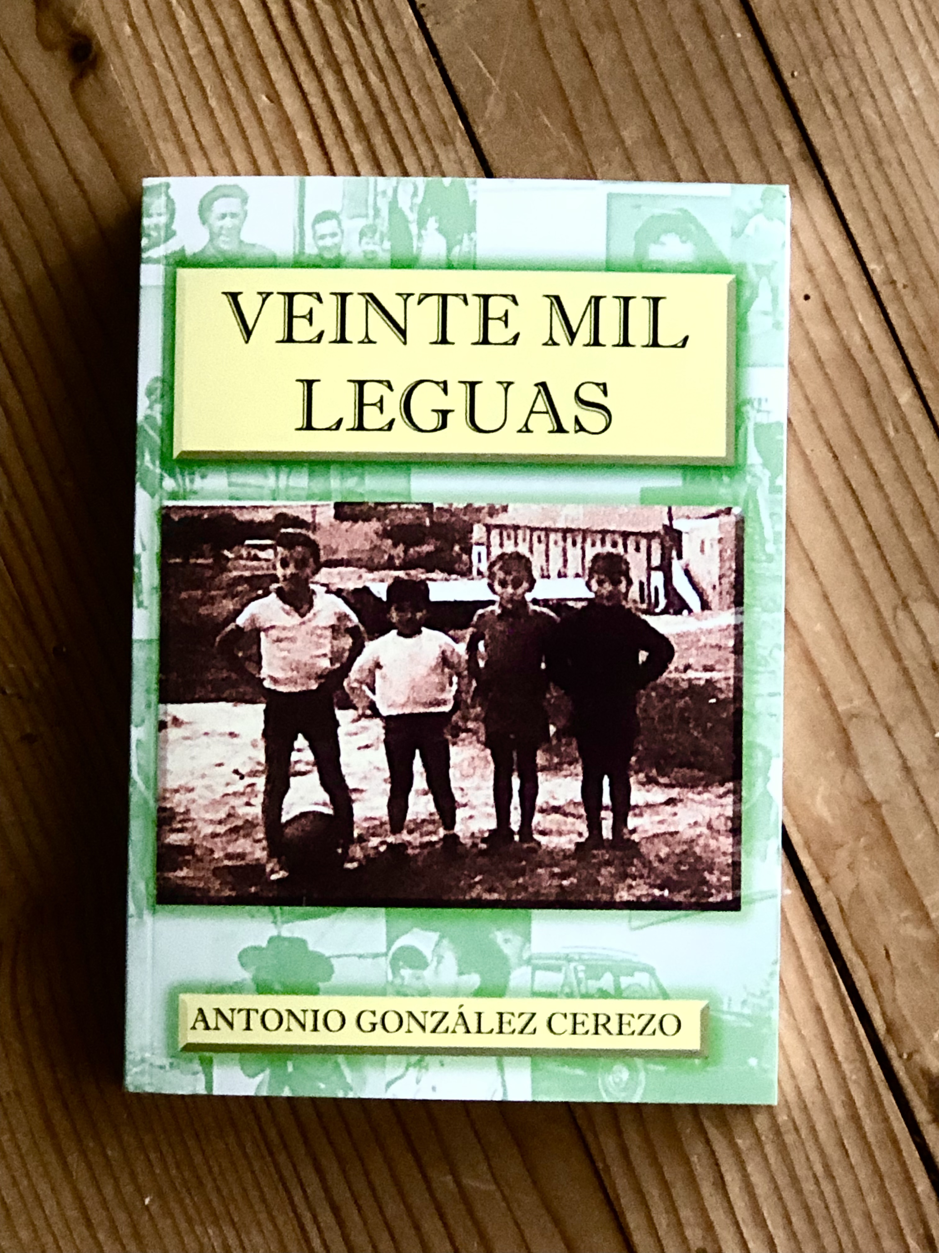 Veinte mil leguas