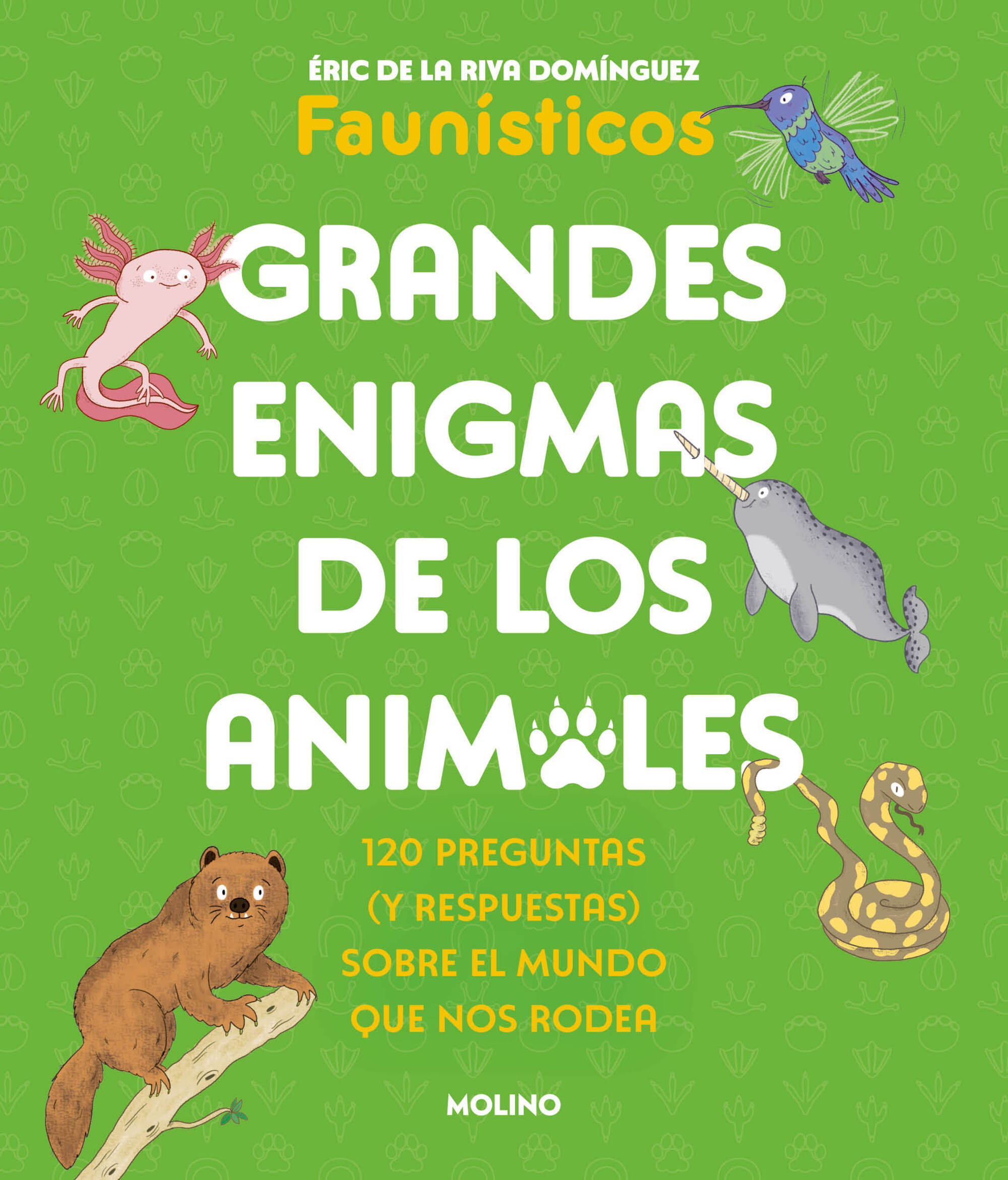 Grandes enigmas de los animales ( Colección Grandes enigmas )