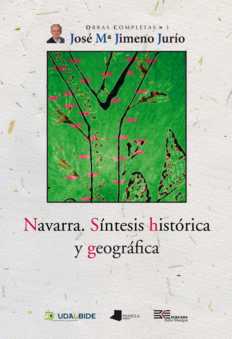 Navarra. Síntesis histórica y geográfica