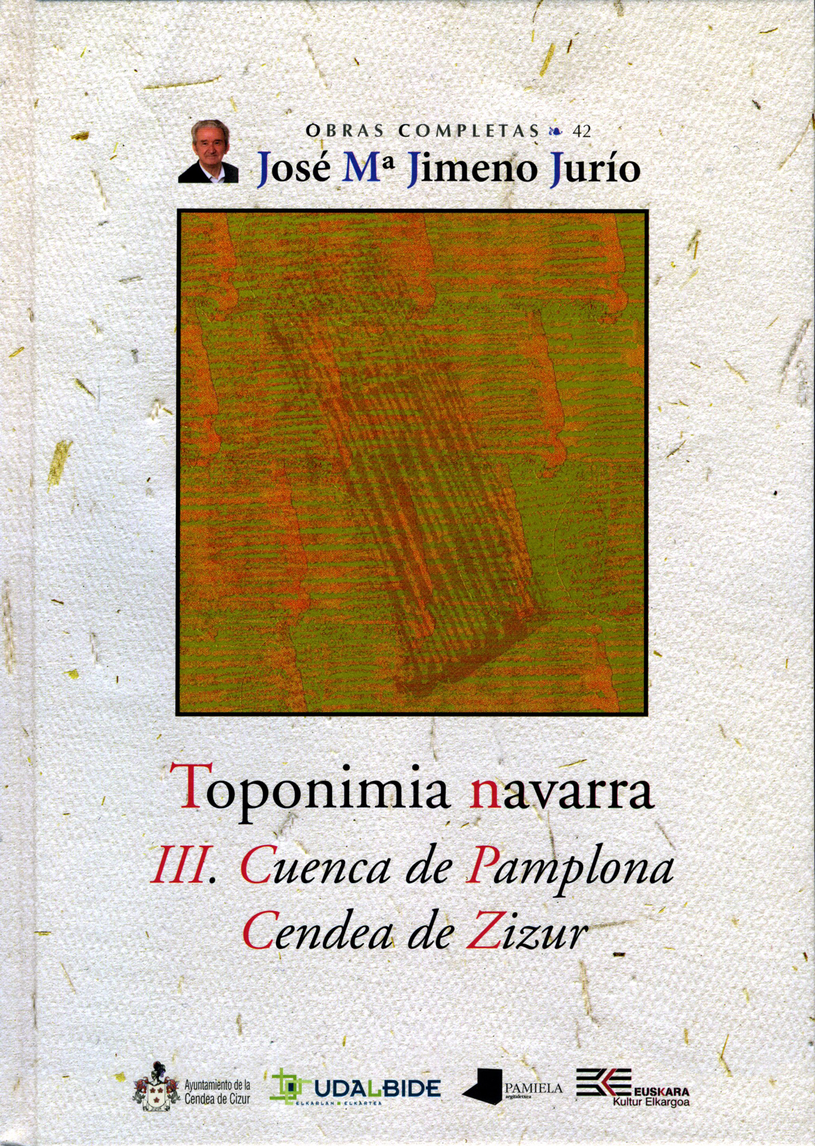 Toponimia Navarra. III. Cuenca de Pamplona. Cendea de Zizur