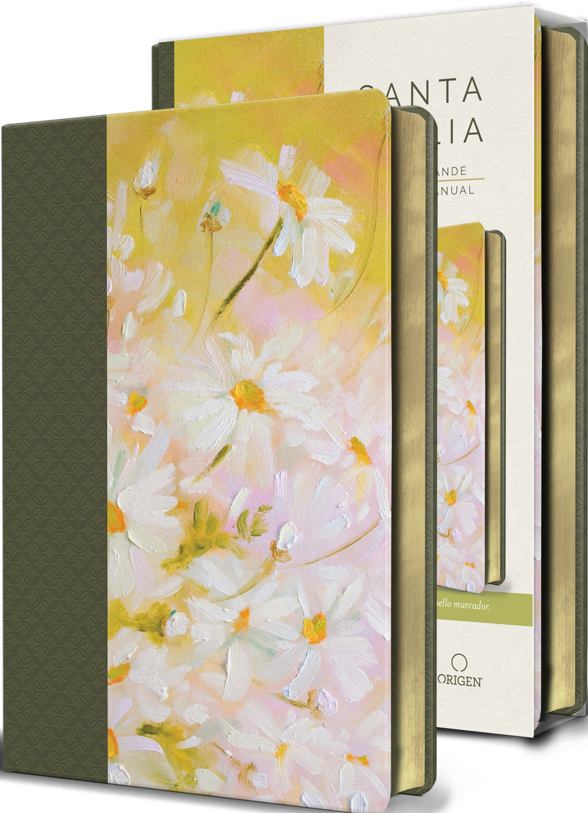 Biblia Reina Valera 1960 letra grande. Piel Verde con flores, tamaño manual