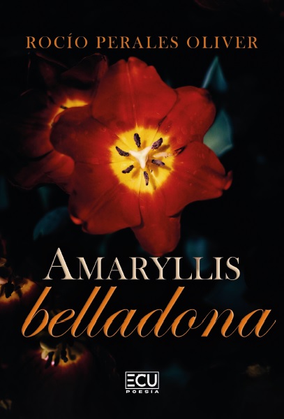 Amaryllis belladona