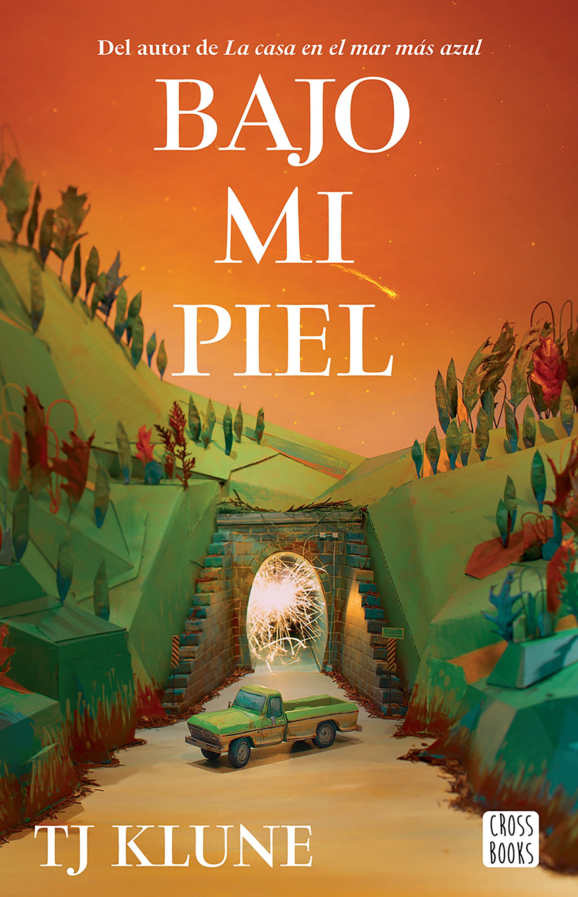 Bajo mi piel