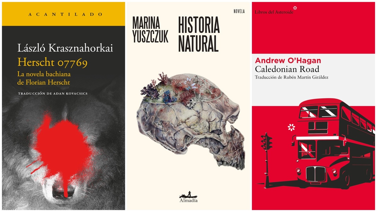 Librotea.