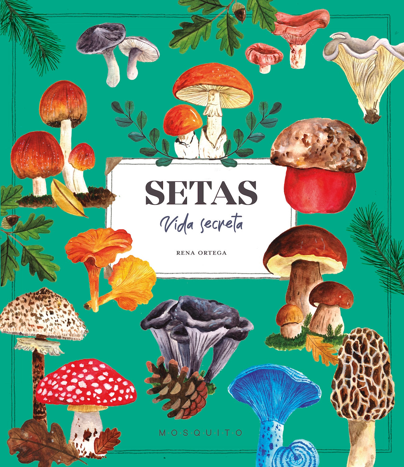 Setas. Vida secreta