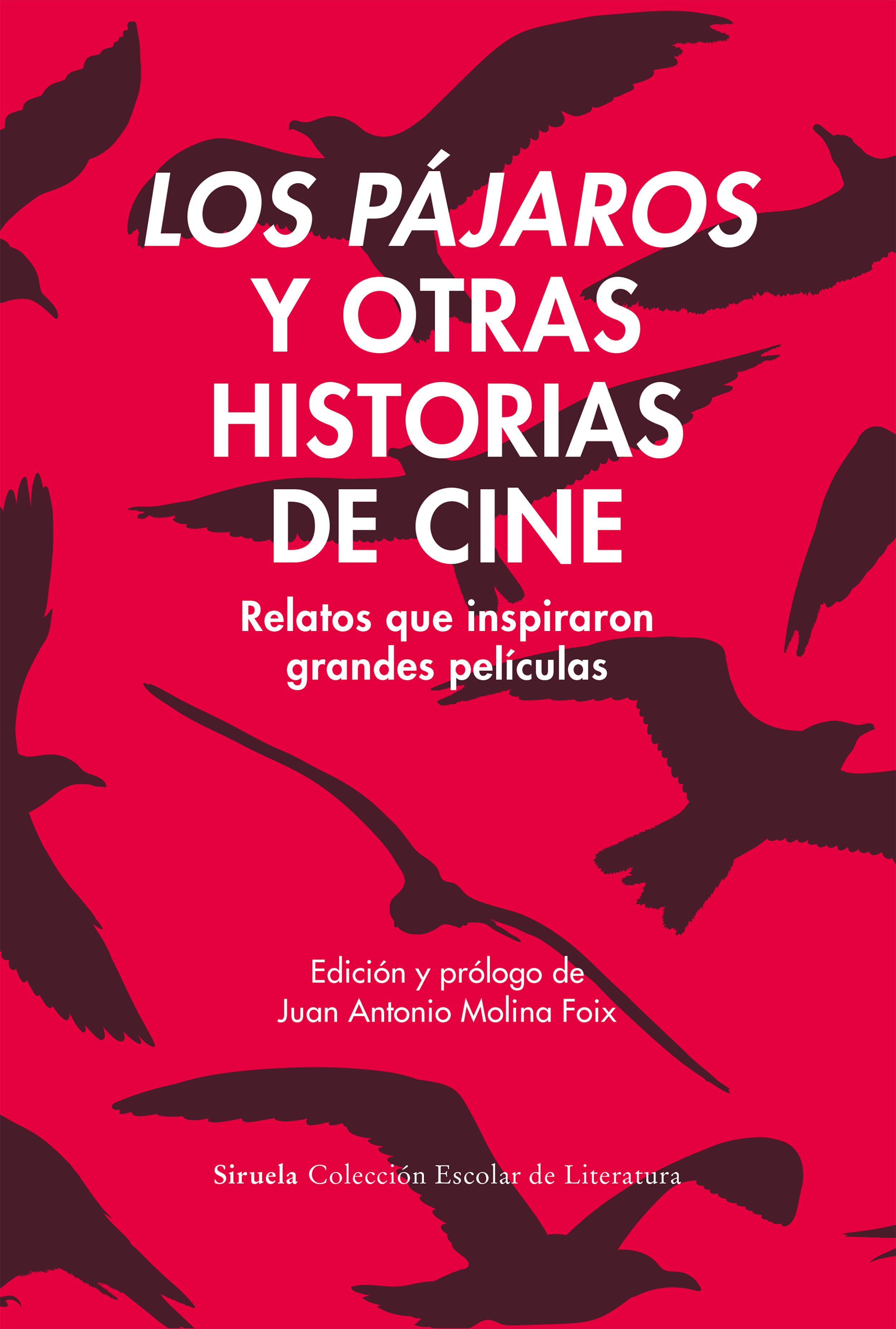 Los pájaros y otras historias de cine