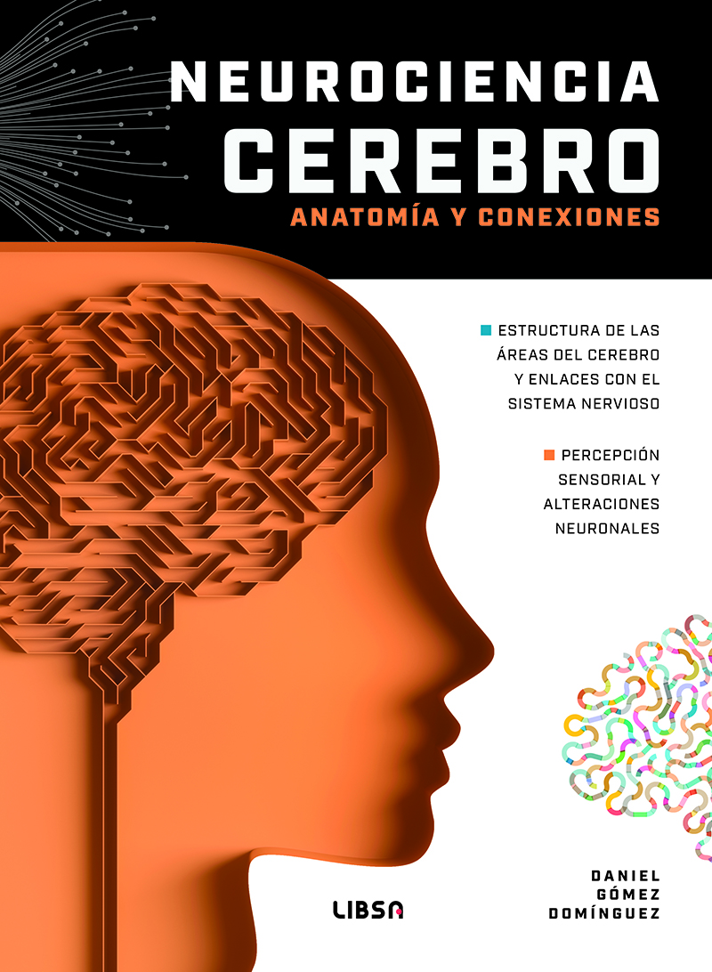 Neurociencia Cerebro Anatomía y Conexiones