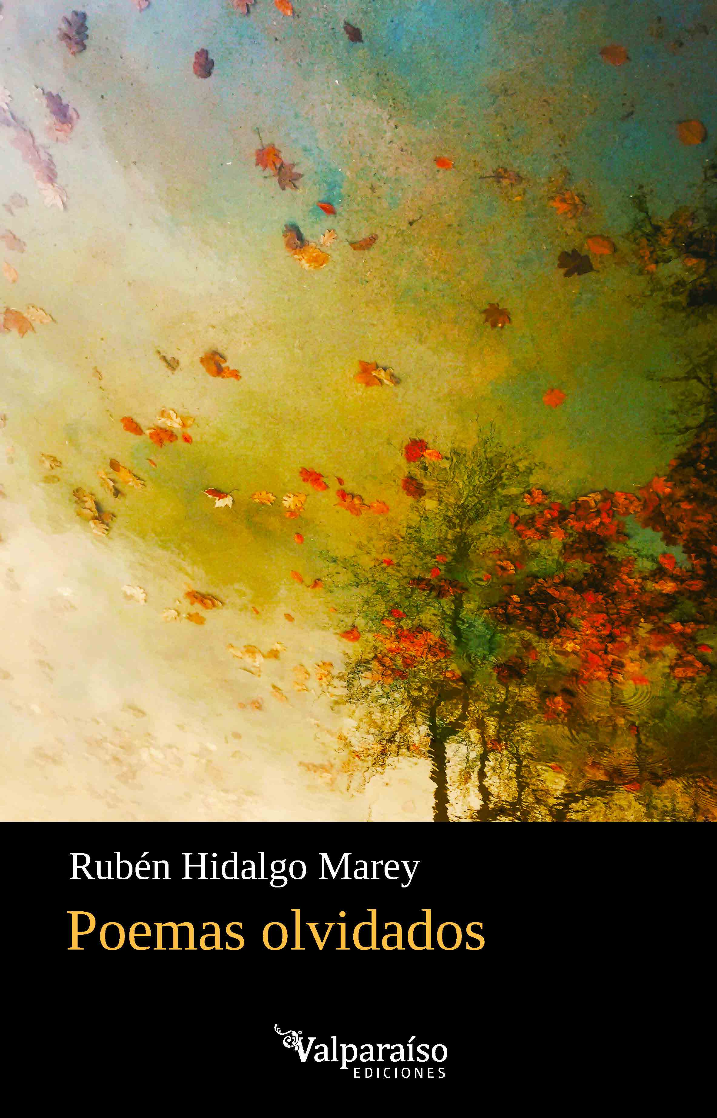Poemas olvidados