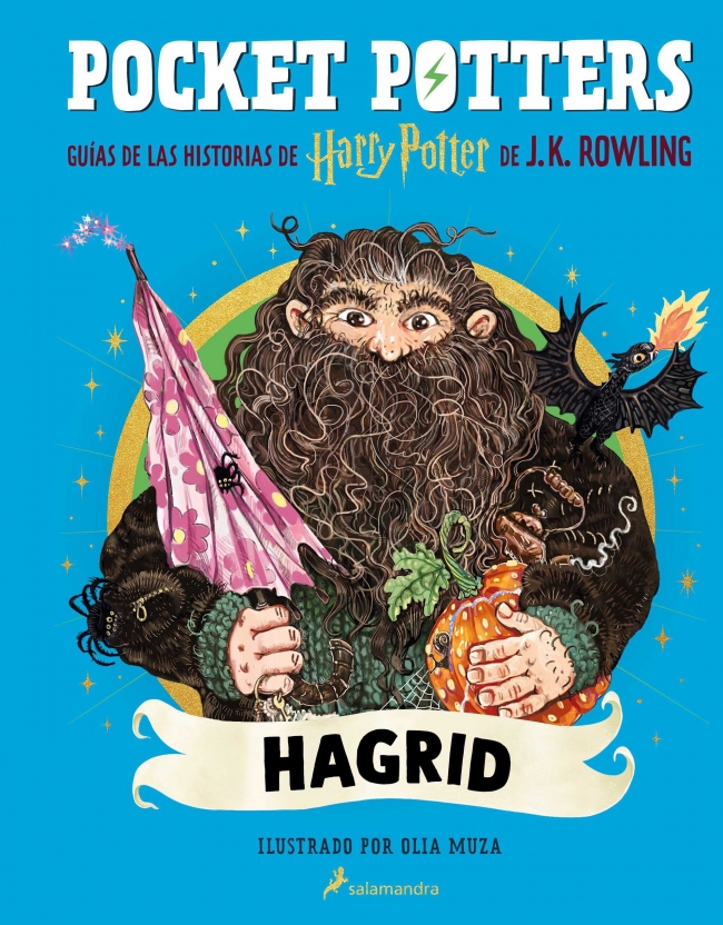 Pocket Potters 6 - Hagrid