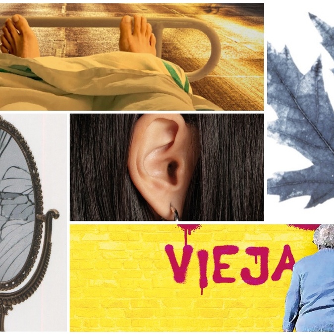 Libros sobre la obsesión por no envejecer: novelas y ensayos contra la eterna juventud
