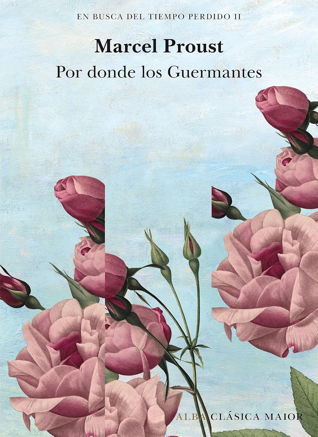 En busca del tiempo perdido, vol. 2. Por donde los Guermantes