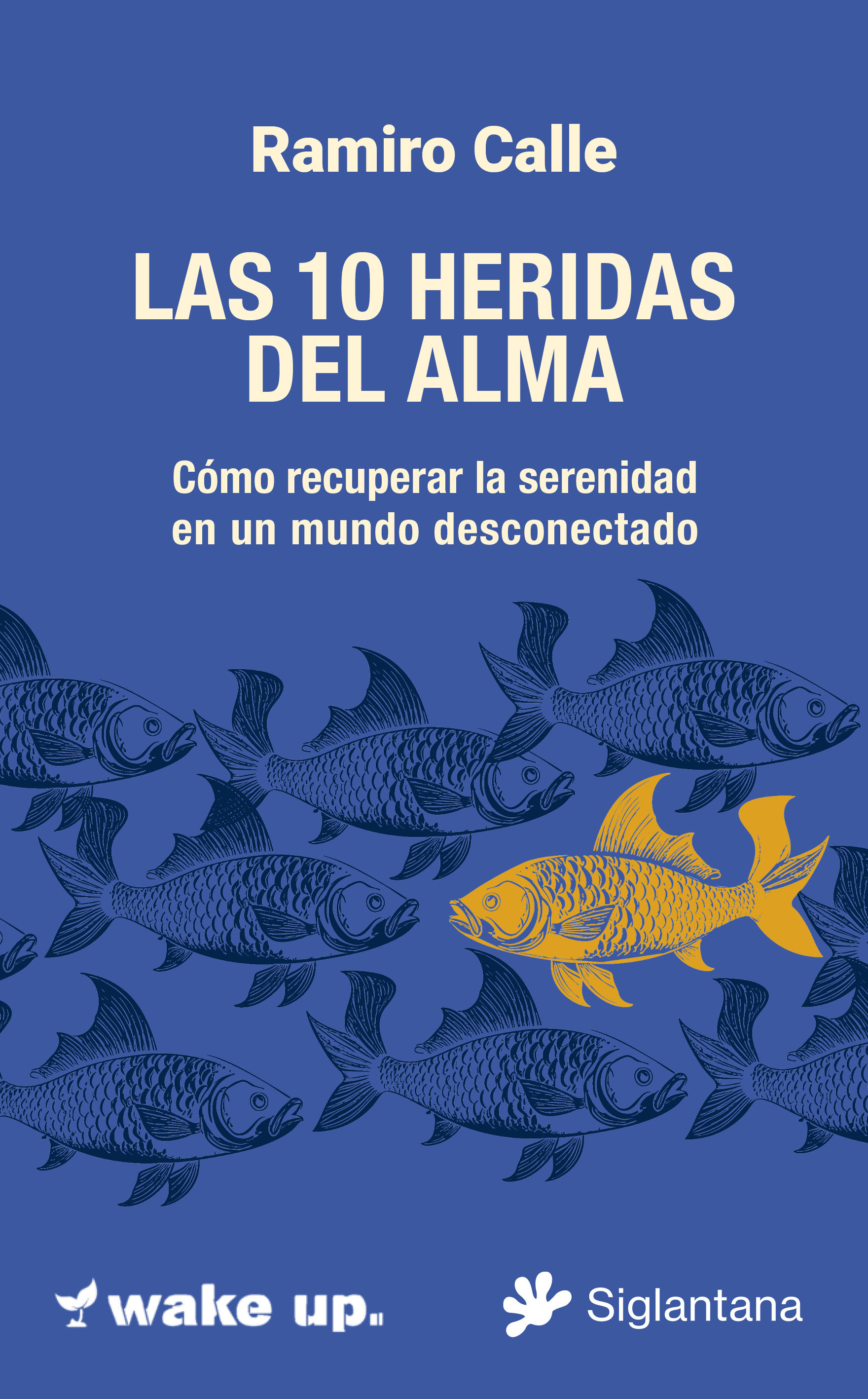 LAS 10 HERIDAS  DEL ALMA