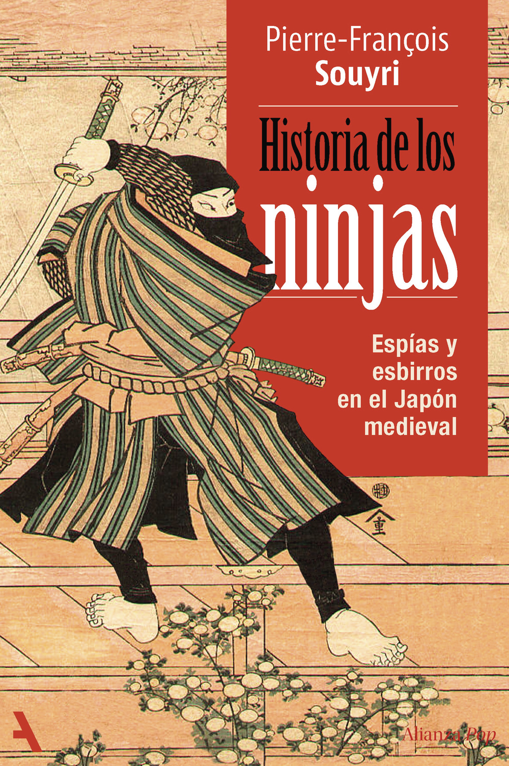 Historia de los Ninjas