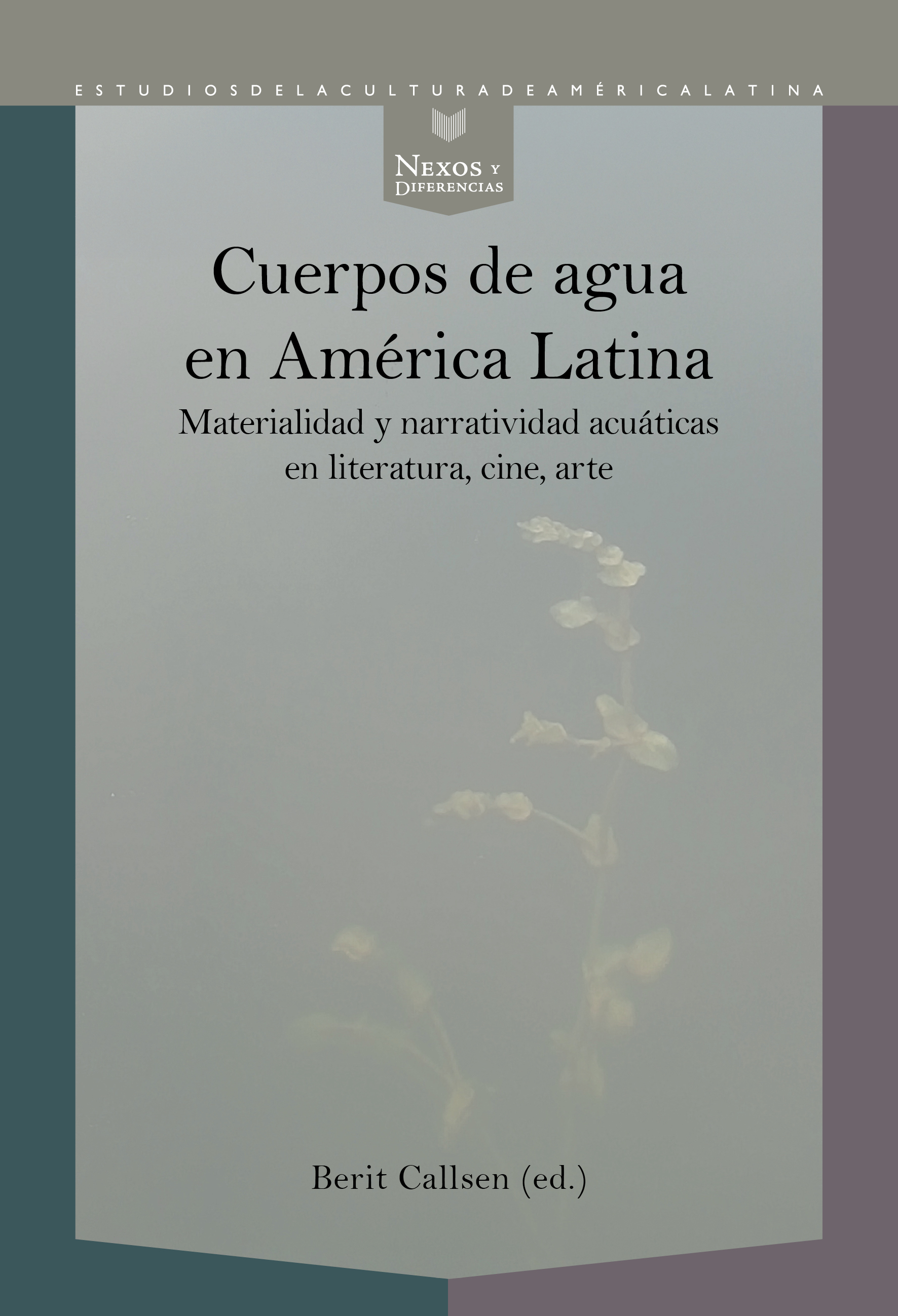Cuerpos de agua en América Latina