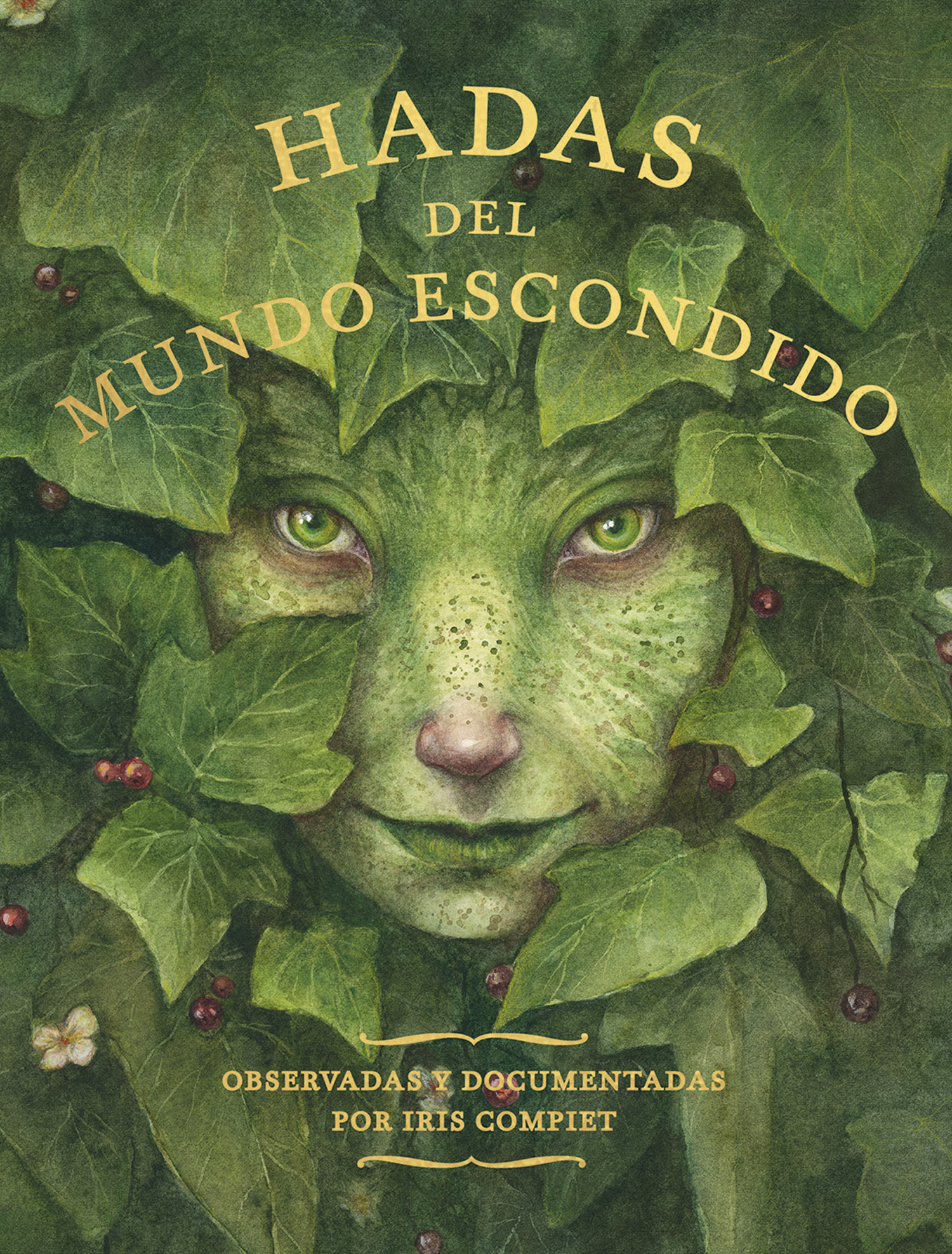 Hadas del mundo escondido