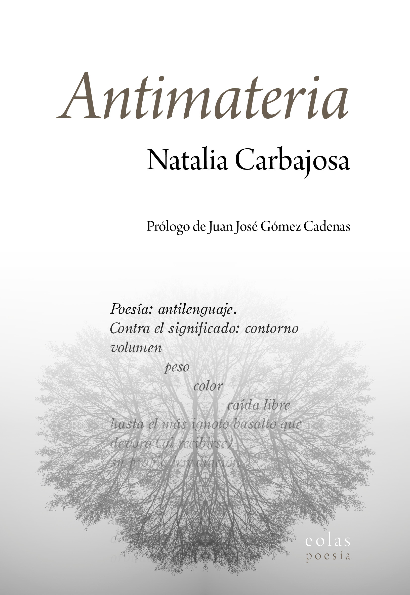 Antimateria