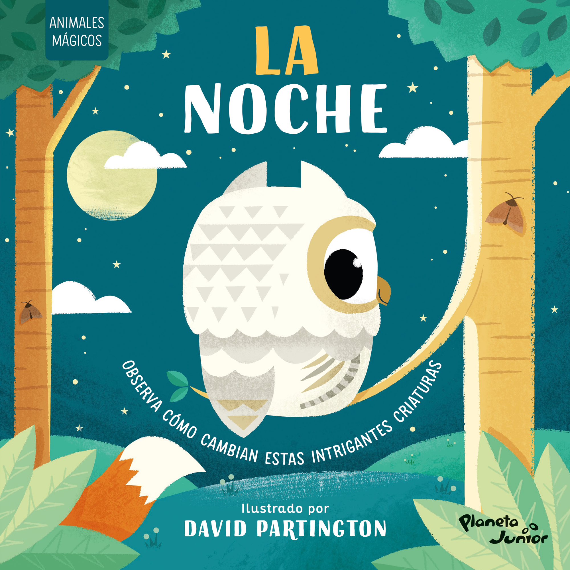 Animales mágicos. La noche