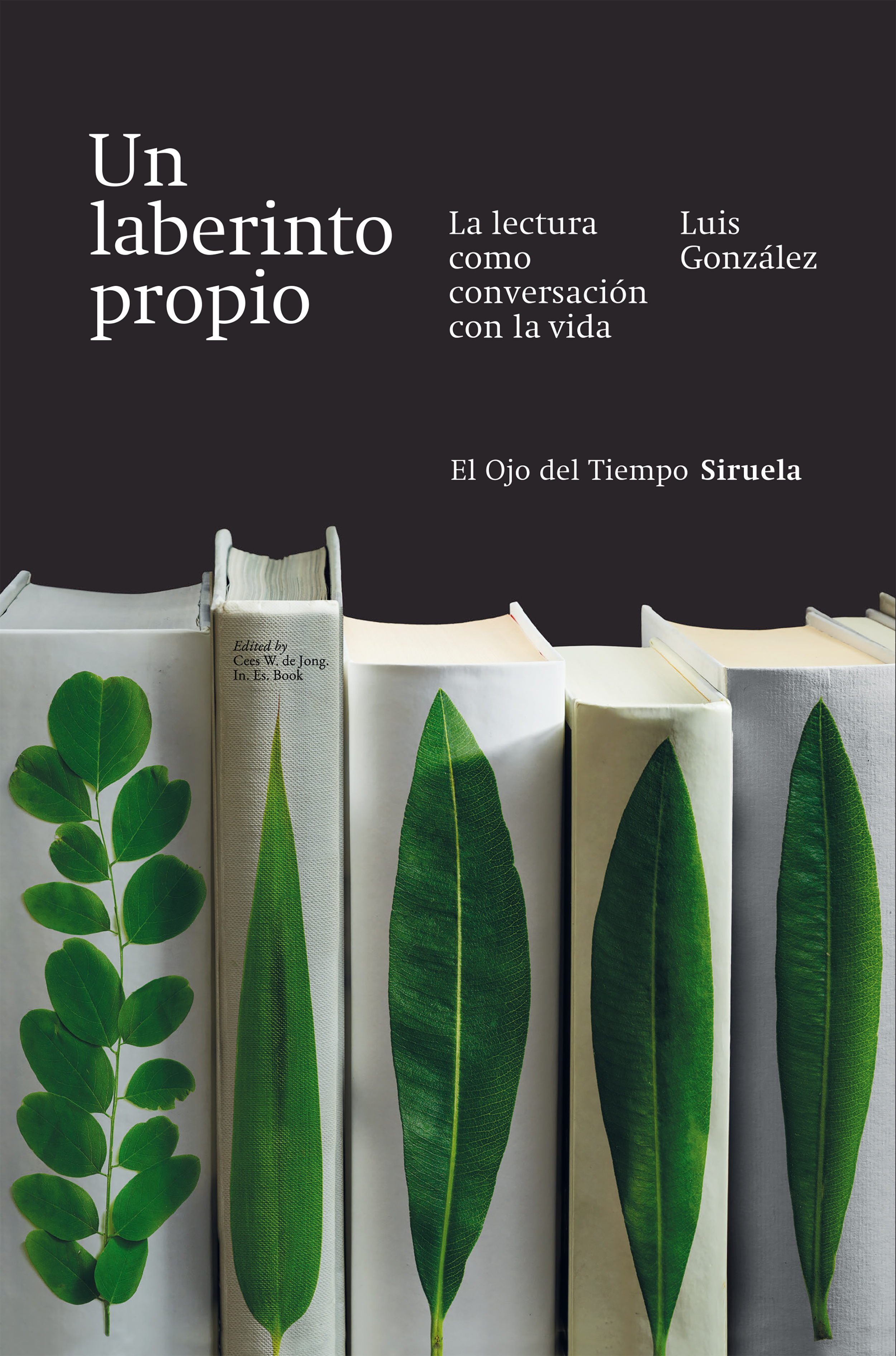 Un laberinto propio