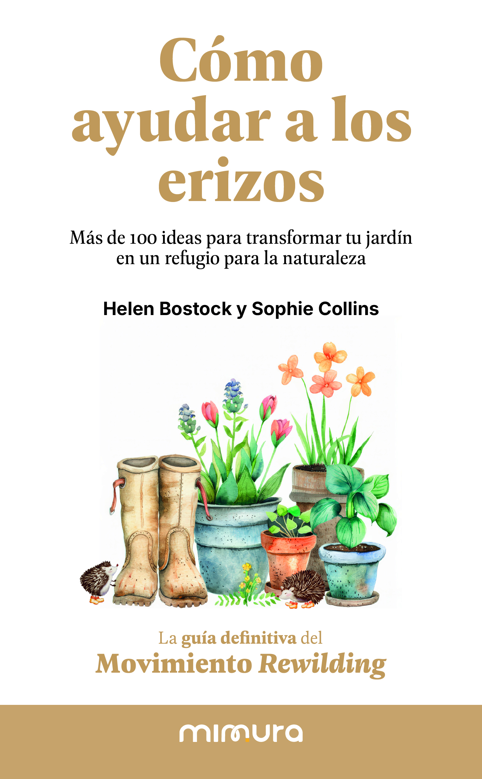CÓMO AYUDAR A LOS ERIZOS