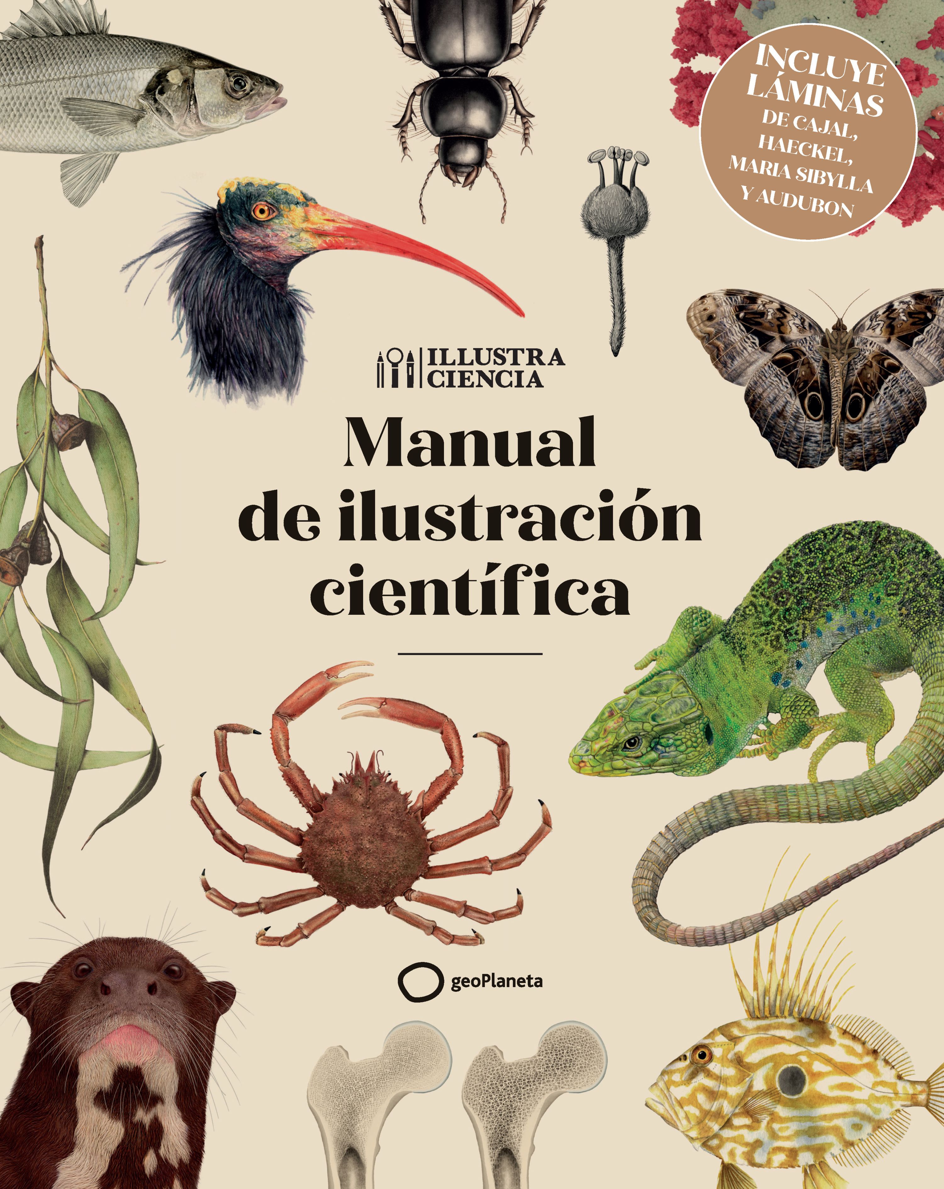 Manual de ilustración científica - Nueva edición con láminas