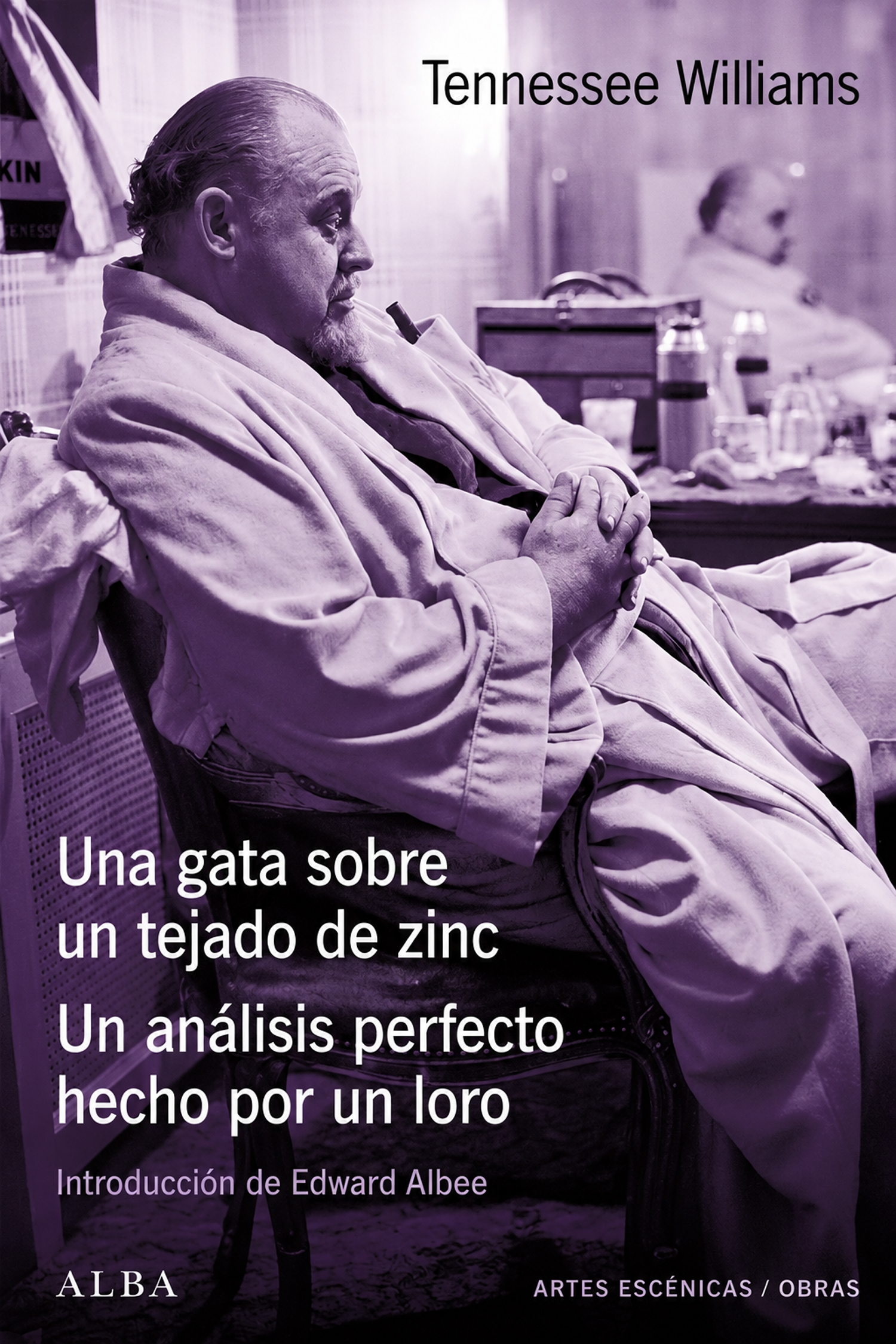 Una gata sobre el tejado de zinc