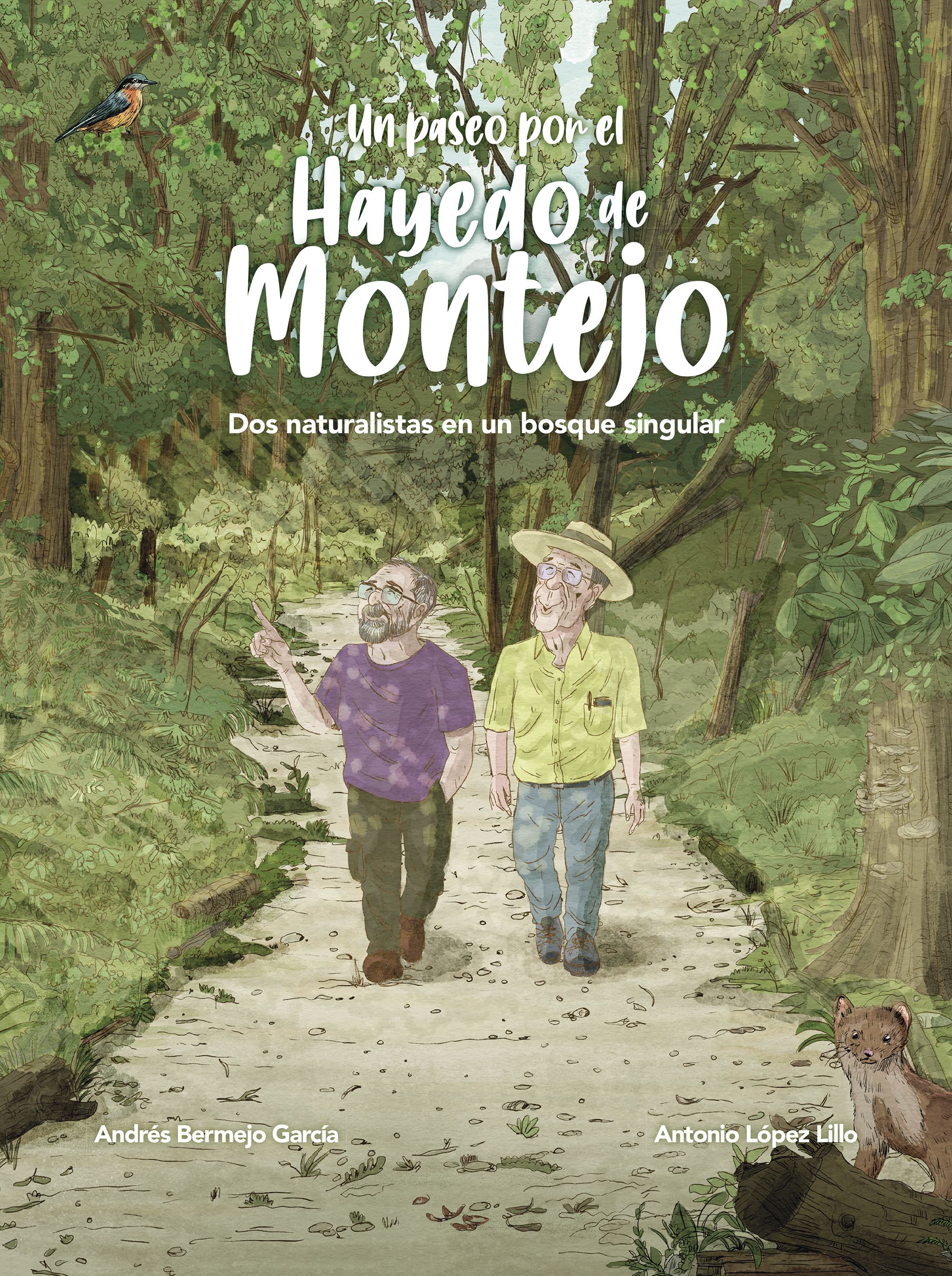 Un paseo por el Hayedo de Montejo
